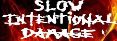 logo Slow Intentional Damage